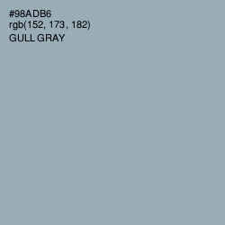 #98ADB6 - Gull Gray Color Image